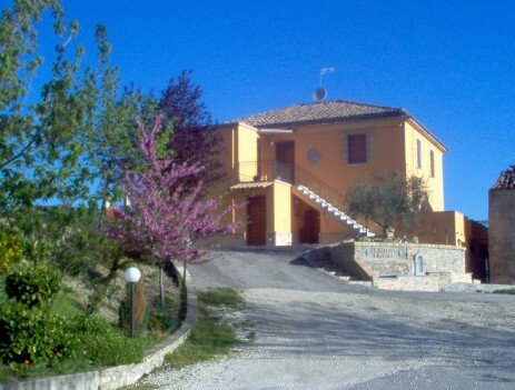 Cartolina
